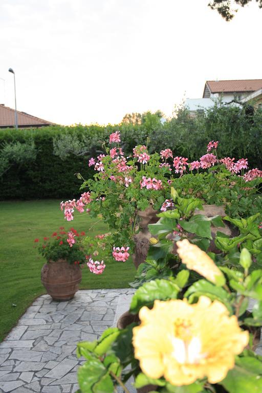 B&B Villa Acero Марина-ди-Каррара Экстерьер фото
