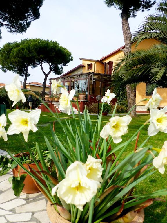 B&B Villa Acero Марина-ди-Каррара Экстерьер фото